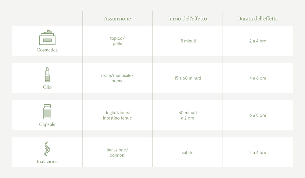 Durata dell'effetto di prodotti CBD