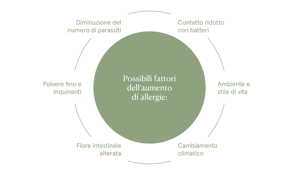 Possibili fattori di allergie